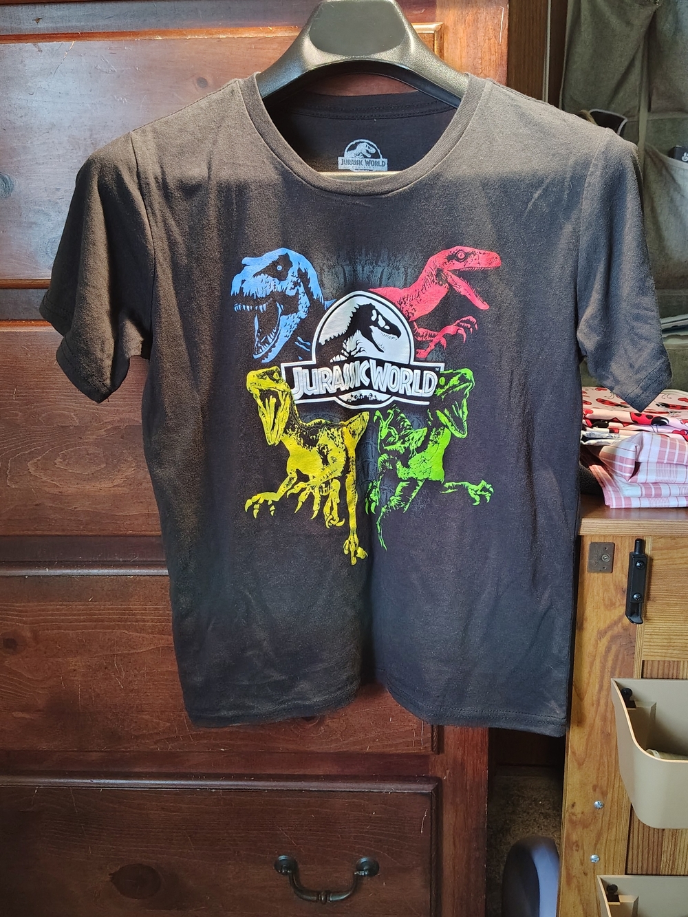 Jurassic World Black Short Sleeve Graphic Tee - Multicolor Dino Artwork
